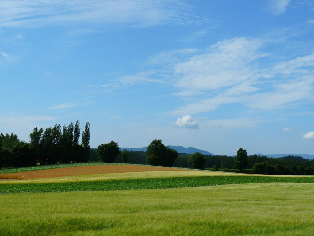 Furano Prince Hotel Luaran gambar